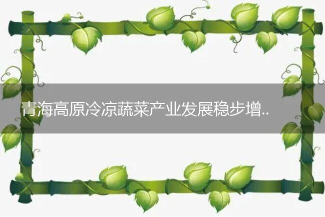 青海高原冷凉蔬菜产业发展稳步增长